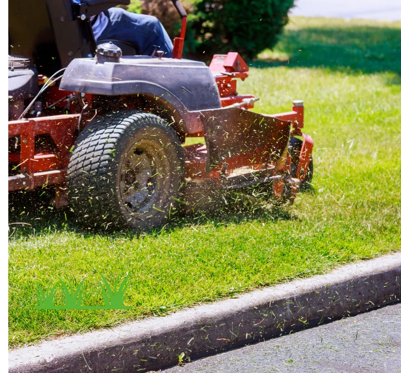 Gardening & Lawn Care