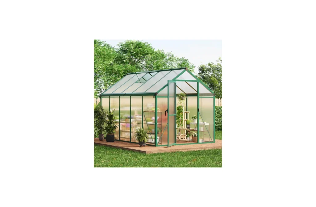 1. 6x10 FT Polycarbonate Greenhouse for Outdoors