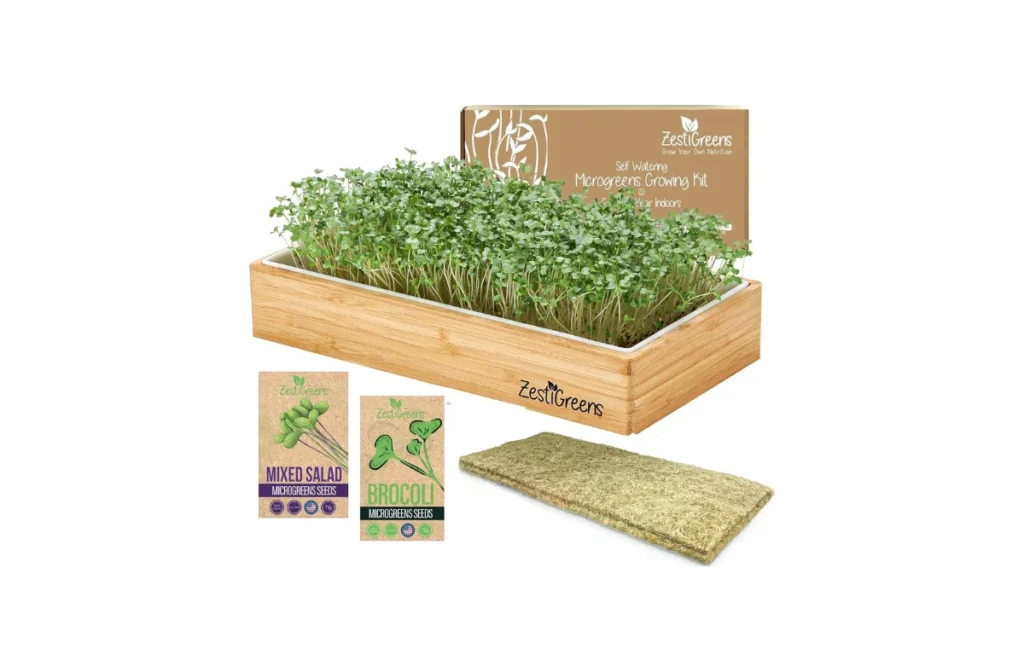 Self-Watering Microgreens Growing Kit â Bamboo Frame & Organic Seeds