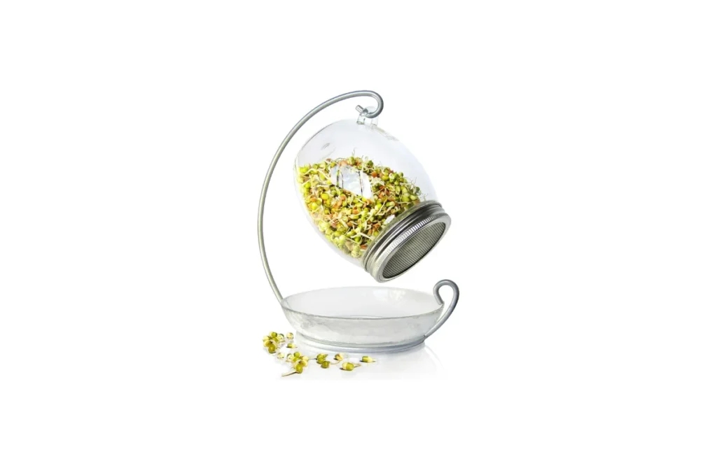 Premium Sprouting Jar Kit â Decorative 30 oz Jar with Stand