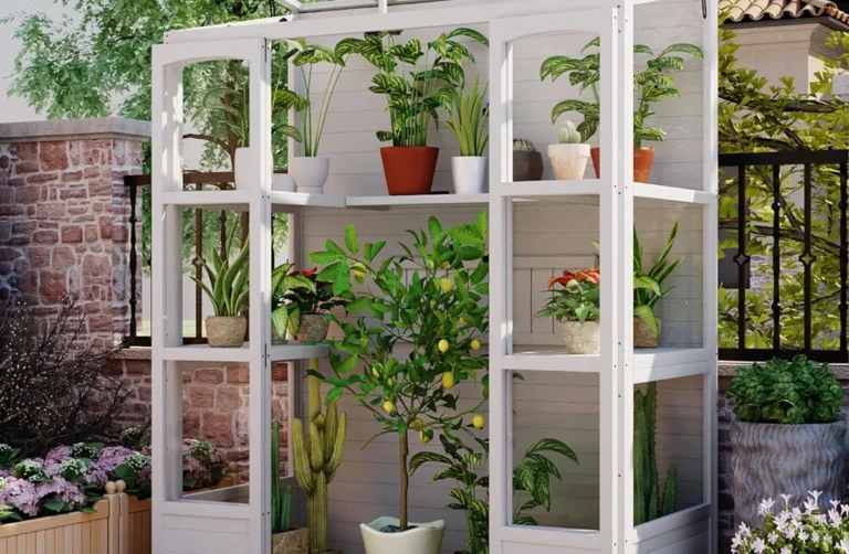 best Wooden Cold Frame Greenhouse