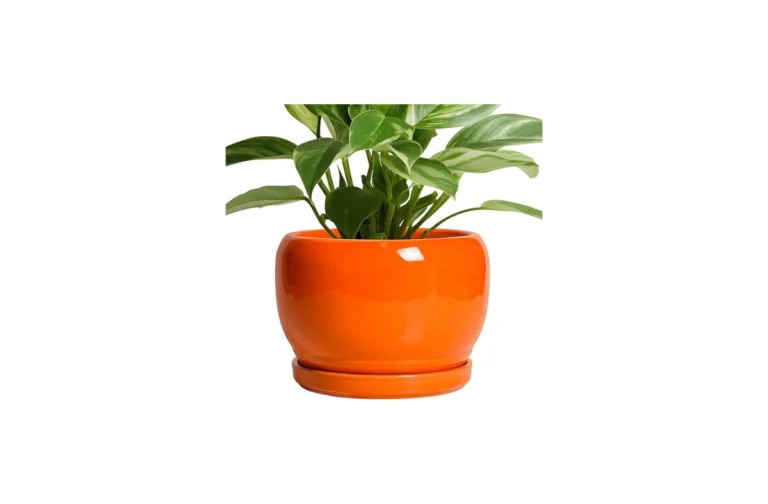 Ceramic Nursery Pot