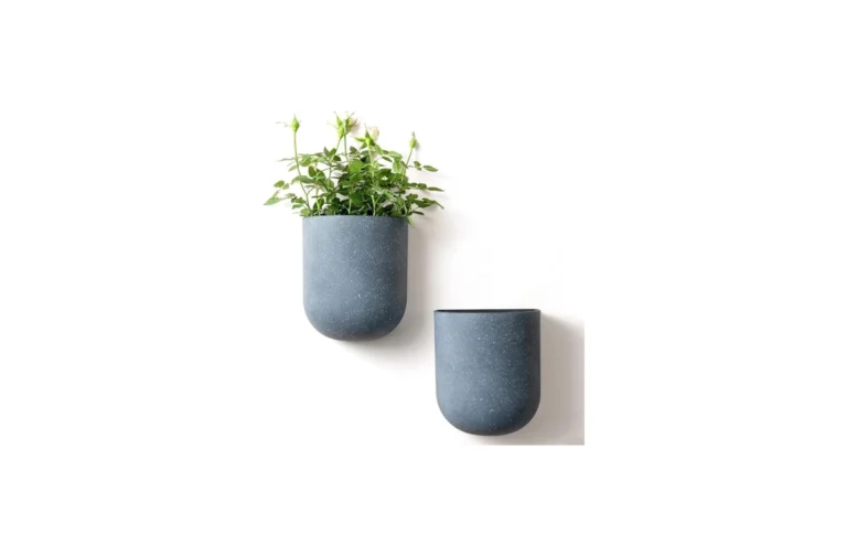 best Wall Hanging Planters