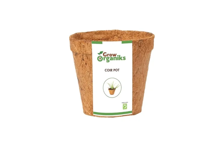 best Biodegradable Planting Pots