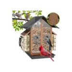 Best Bird Feeder