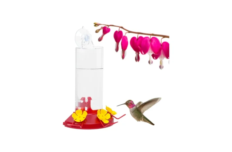 Best Plastic Hummingbird Feeders