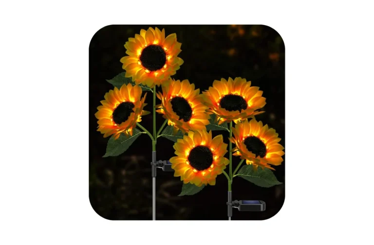 Best sunflower solar string lights