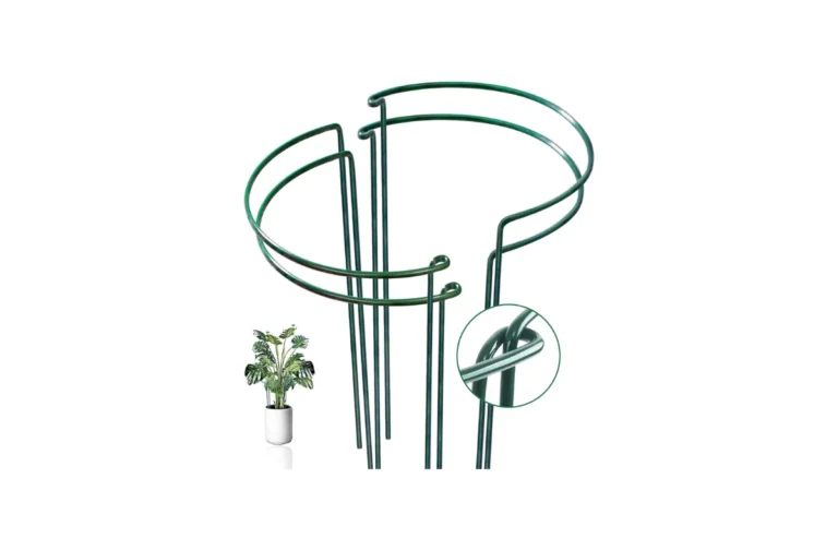 Snake Plant Support Stakes to buy