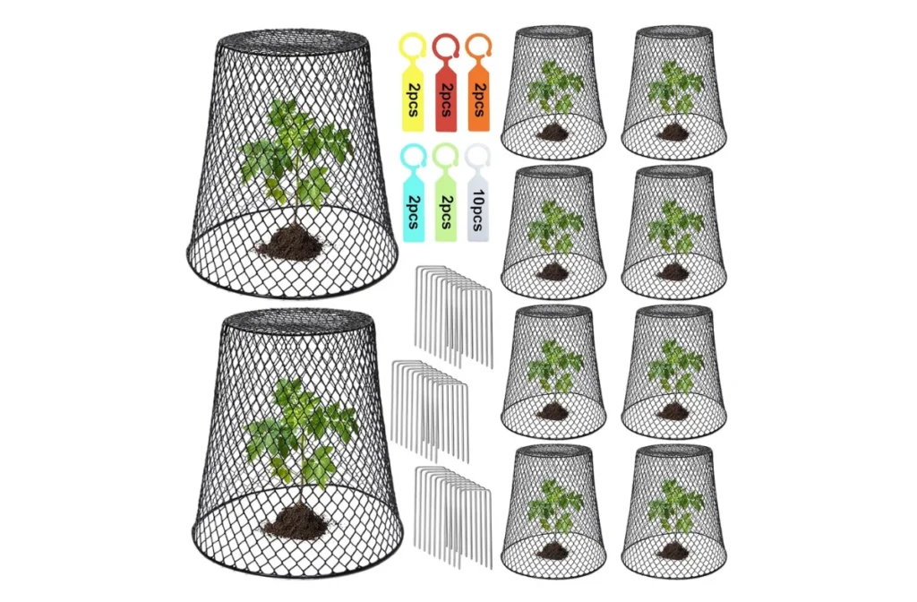 1. 10 Pcs Chicken Wire Cloche Plant Covers – 9.13×9.13 in