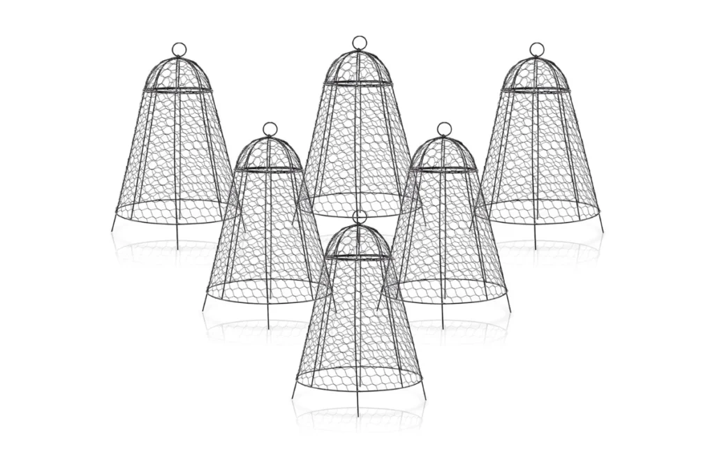 2. boldworks Garden Cloches – Extra Large 12" x 20" (Pack of 6)