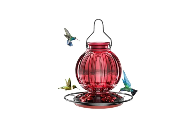 best Glass Hummingbird Feeders for Outdoors