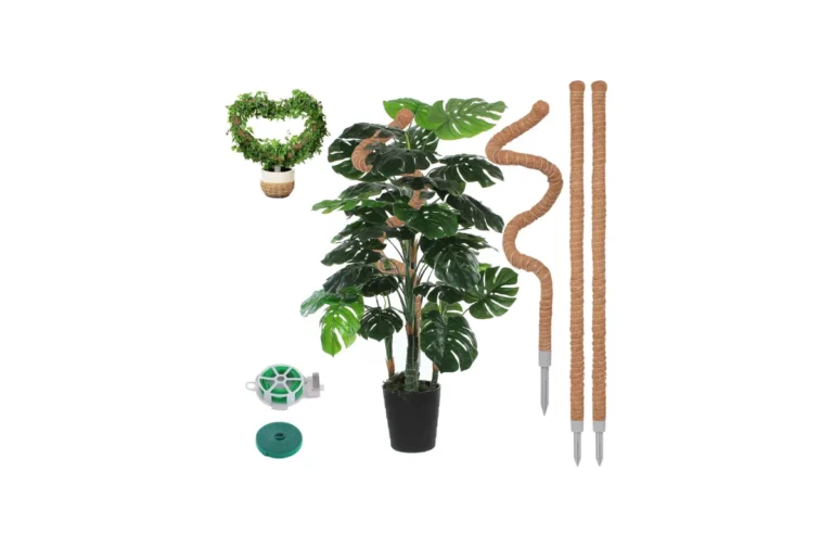 best Monstera Plant Support