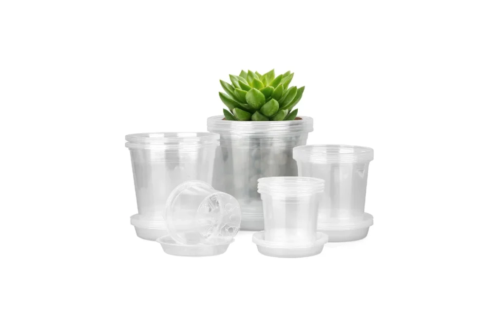 2. Clear Nursery Pots with Saucers – 20 Pack (4/5/6/7 Inch)