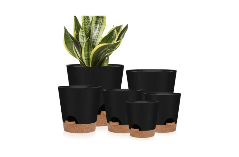 best self watering pots