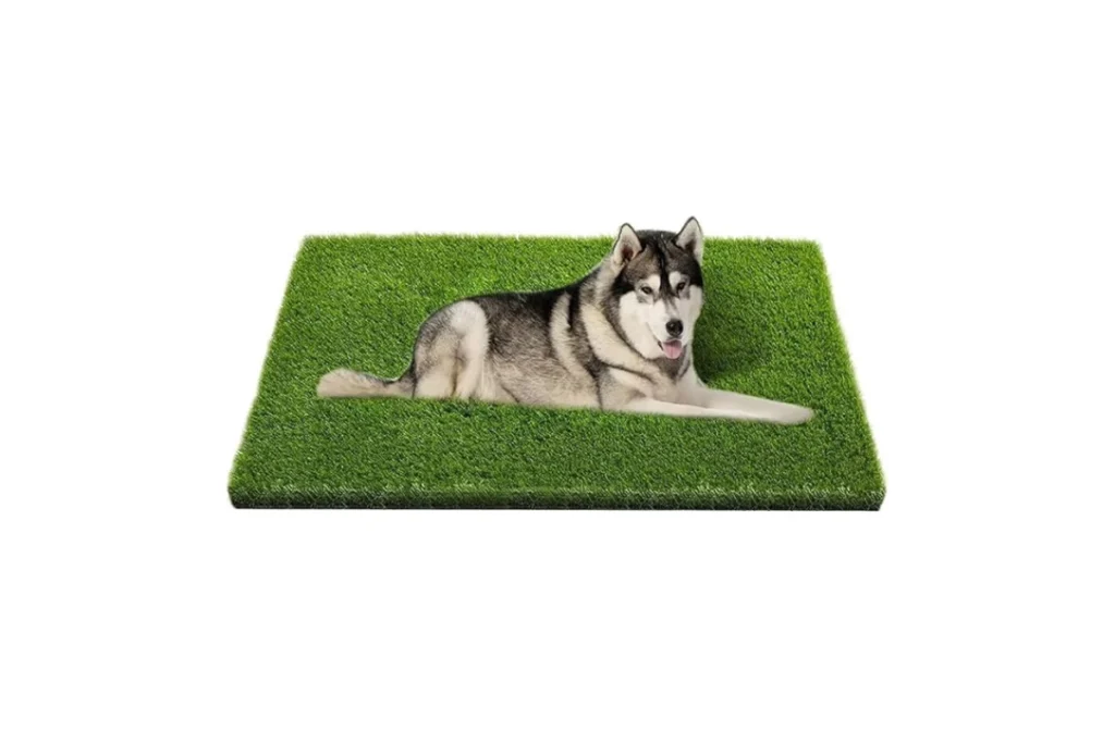 Best Artificial Grass for Dogs