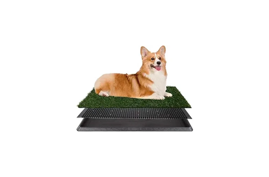 Best Artificial Grass for Dogs