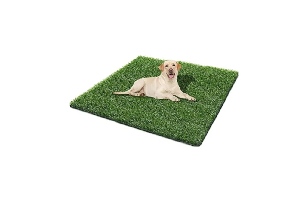 Best Artificial Grass for Dogs